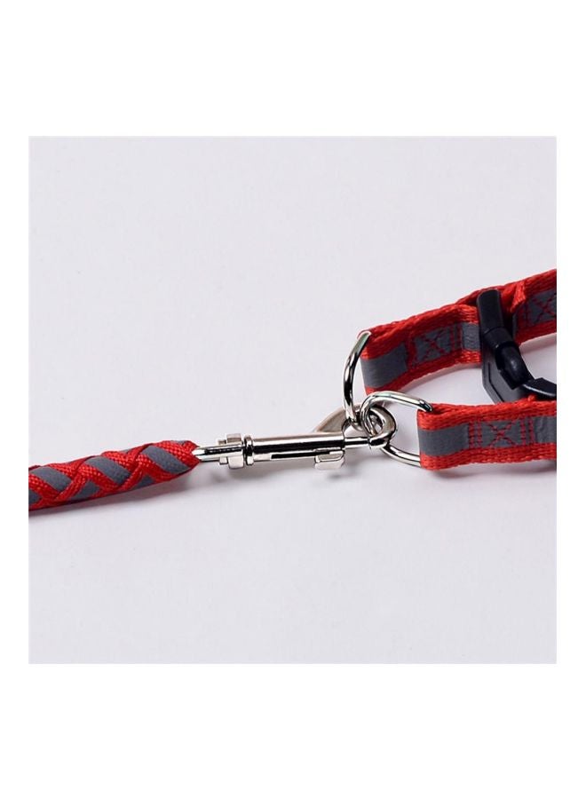 Reflective Lead Leash With Waist Chest Strap Red/Grey/Black S - Image 2