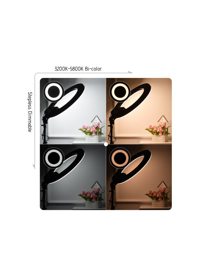 ANDOER Photography LED Video Ring Light With Mirror Phone Holder And Carrying Bag Black/White - Image 3