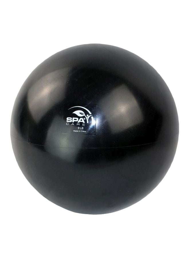 Spa Care Weight Lifting Ball
