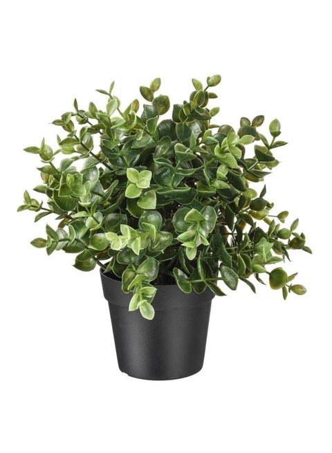 Potted Artificial Oregano Greenery Flower Plant Green/Black 22cm