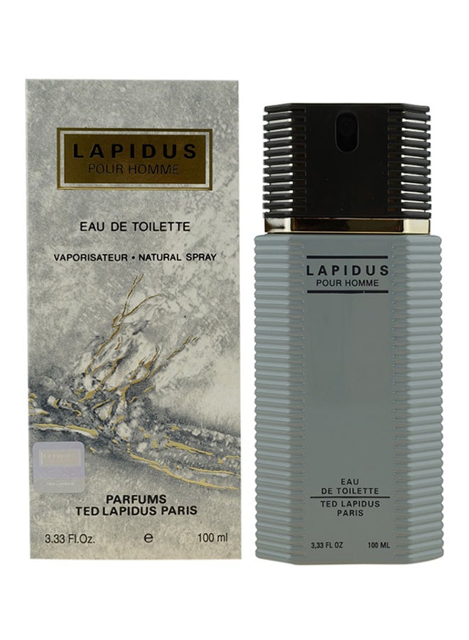 TED LAPIDUS - Lapidus EDT 100ml - Image 1