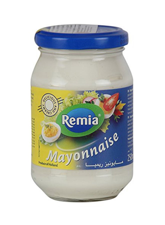 Remia Mayonnaise 250ml 