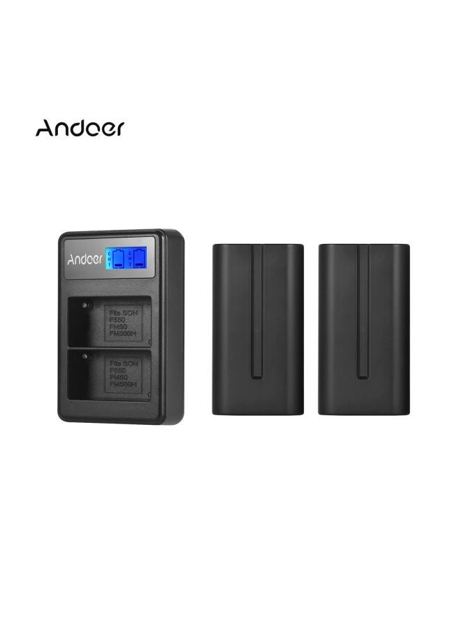 ANDOER 2200.0 mAh 2-Piece Dual Channel Battery And Charger Kit Black - Image 2