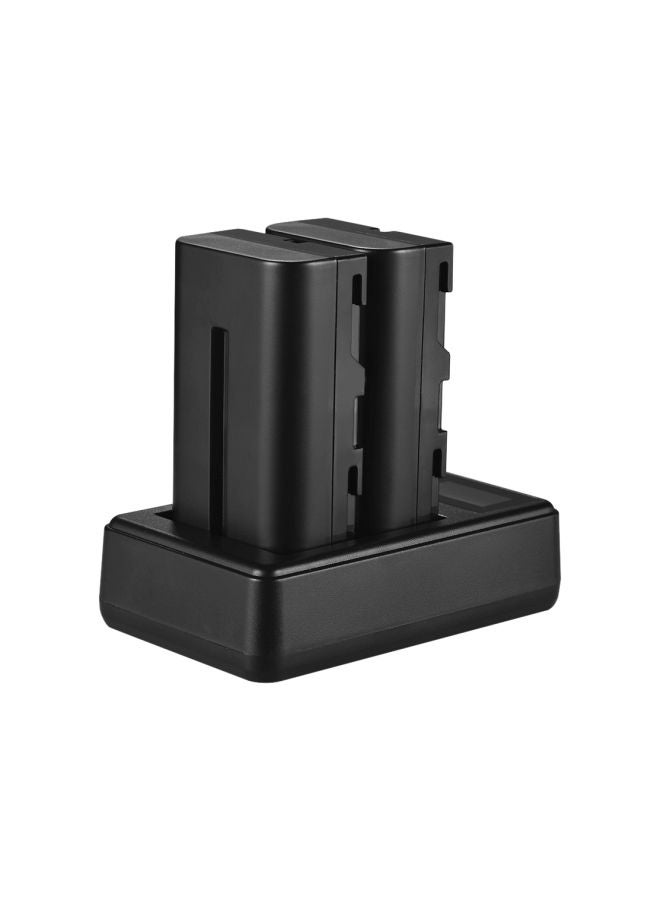 ANDOER 2200.0 mAh 2-Piece Dual Channel Battery And Charger Kit Black - Image 3