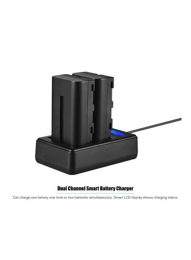 ANDOER 2200.0 mAh 2-Piece Dual Channel Battery And Charger Kit Black - Image 5