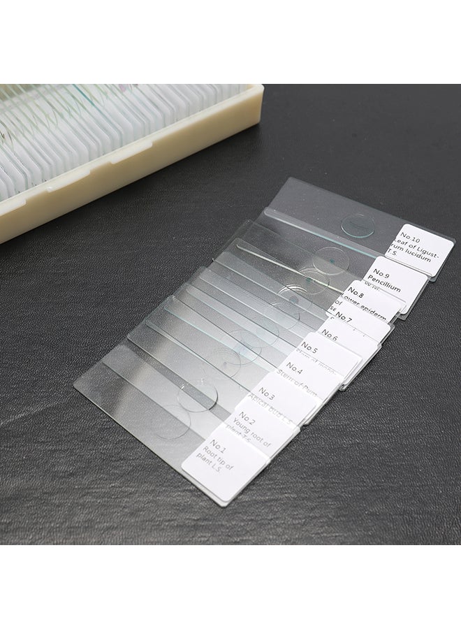KKmoon 100-Piece Biological Glass Clear 0.73kg - Image 3