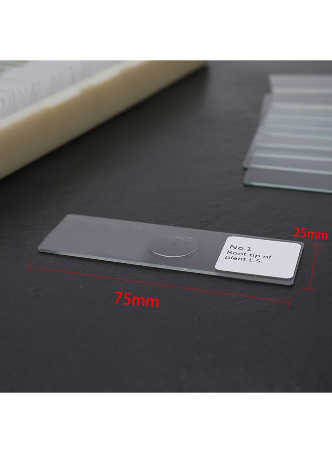 KKmoon 100-Piece Biological Glass Clear 0.73kg - Image 4