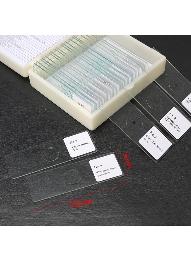 KKmoon 25-Piece Biological Glass Clear 0.2kg - Image 5
