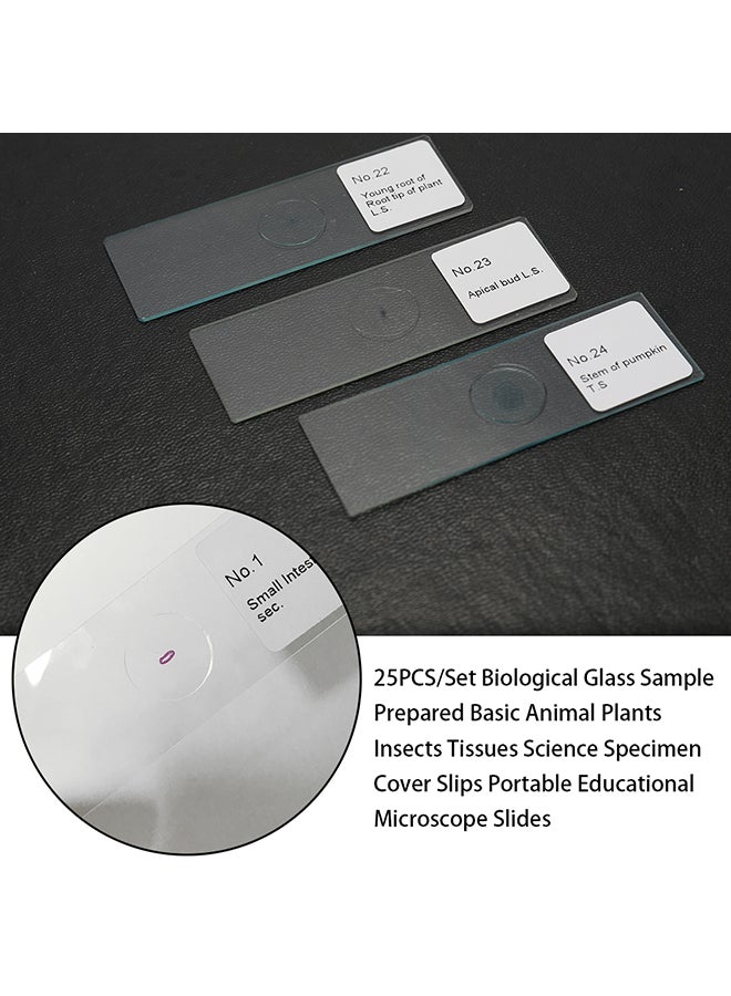 KKmoon 25-Piece Biological Glass Clear 0.2kg - Image 4