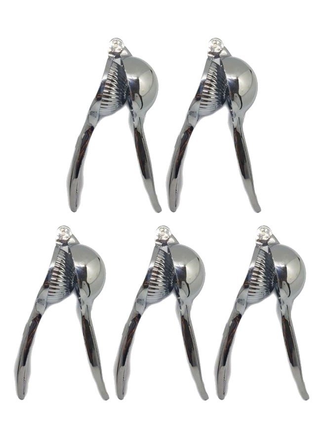 Cc 5-Piece Lemon Hand Squeezer Set Silver 20.5cm 