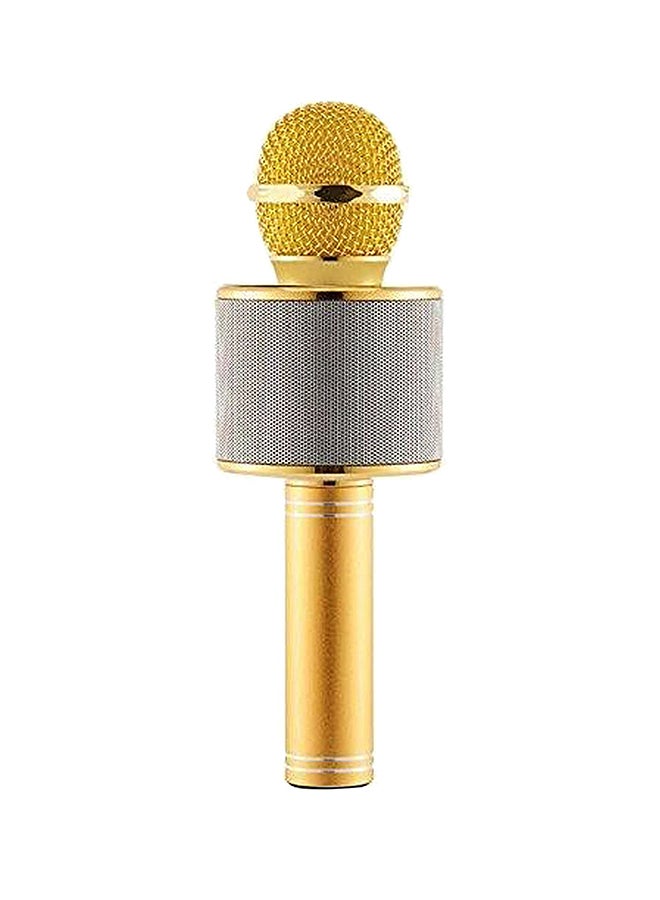Wireless Handheld Bluetooth Karaoke Microphone With USB KTV Player WS-858 Gold/Silver  - Image 1