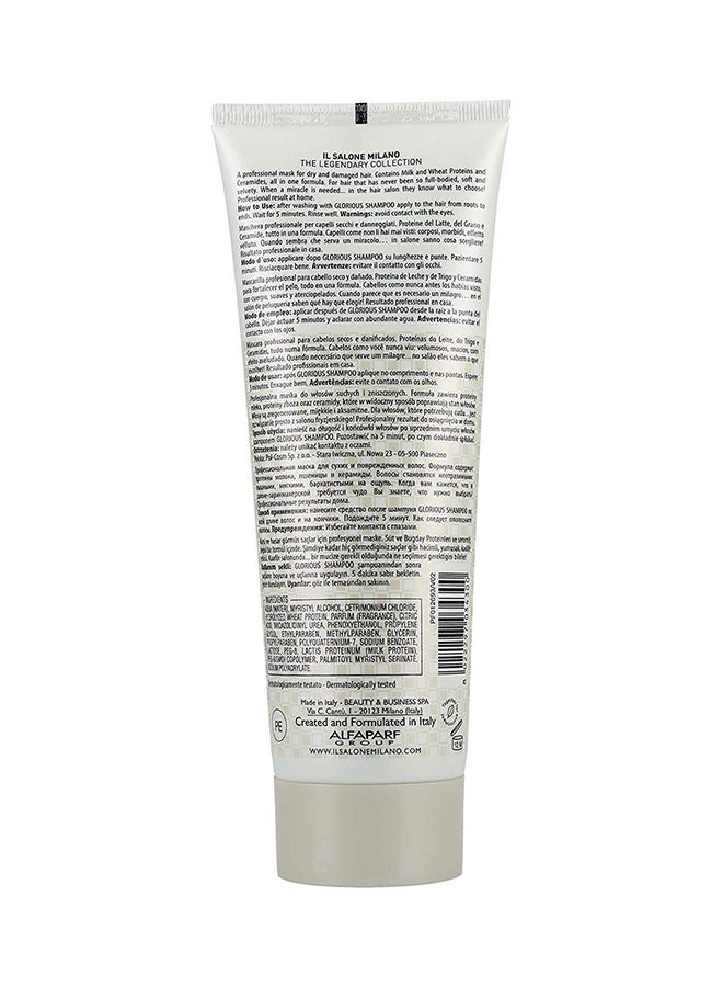 IL SALONE - Protein Mask For Dry Damaged Hair 250ml - Image 1