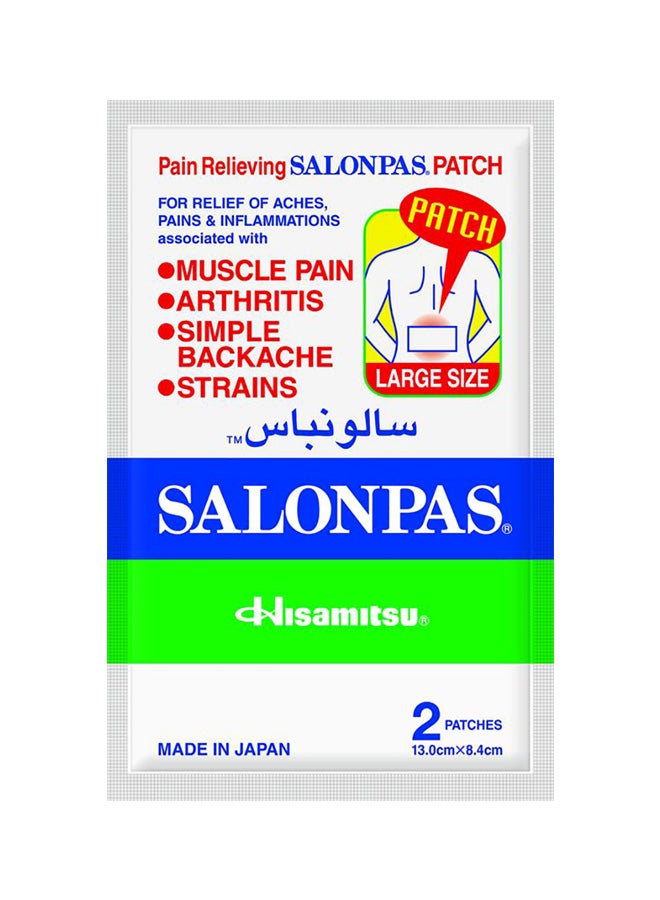 Slonpas Pack Of 2 Pain Relieving Heel Patches 