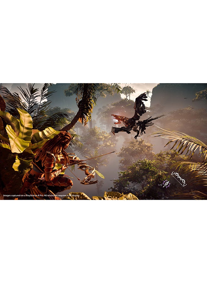 Guerrilla - Horizon : Zero Dawn (Intl Version) - role_playing - playstation_4_ps4 - Image 1