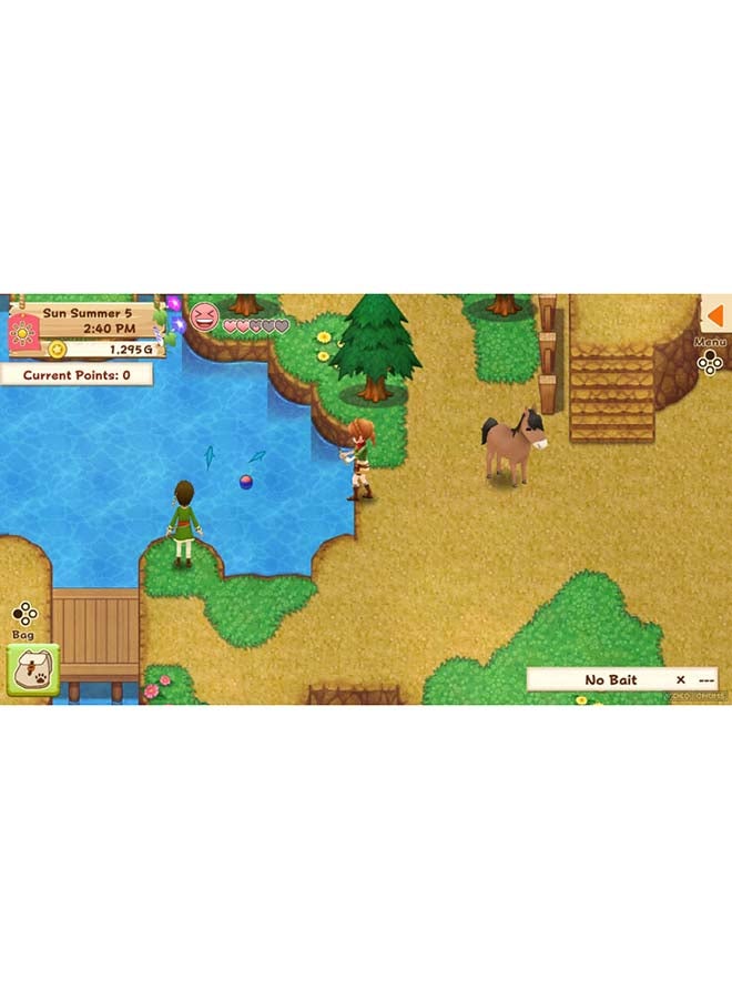 Rising Star Games Harvest Moon Light Of Hope (Intl Version) - Simulation - Nintendo Switch  - Image 2