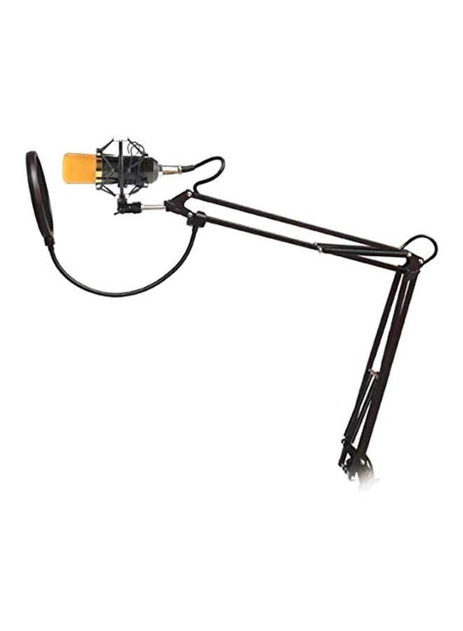 Sound Recording Condenser Studio Microphone Kit BM-700 Black/Gold - Image 2