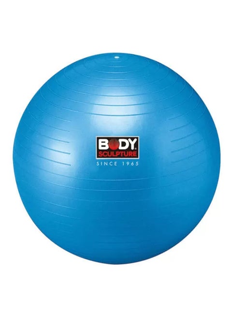 Gym Ball - 26 inch 26inch