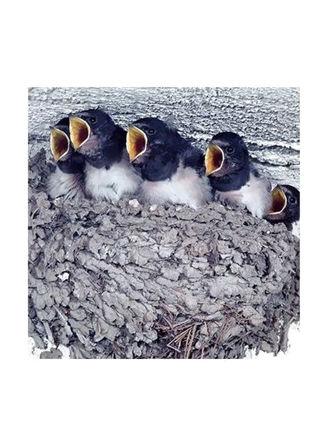 Decorative Wall Poster Grey/Black 50x50cm