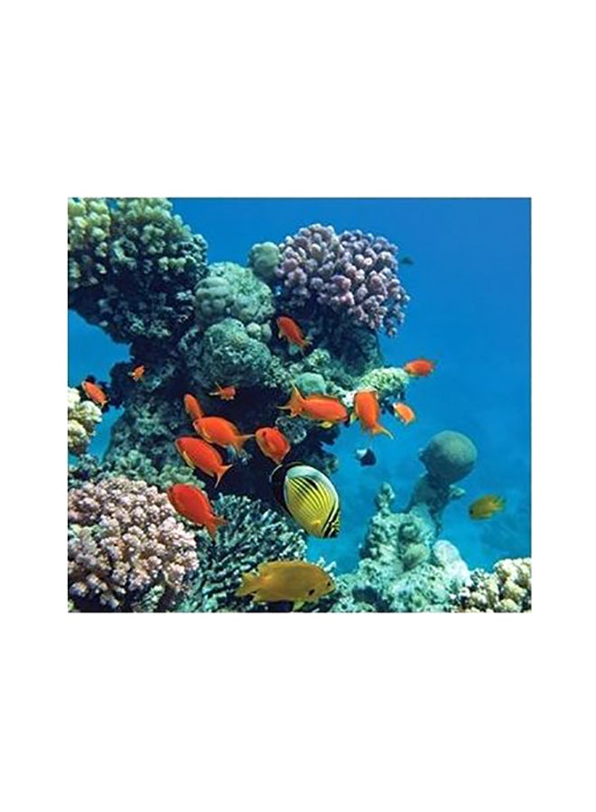 Decorative Printed Wall Poster Blue/Orange/Yellow 50x50cm
