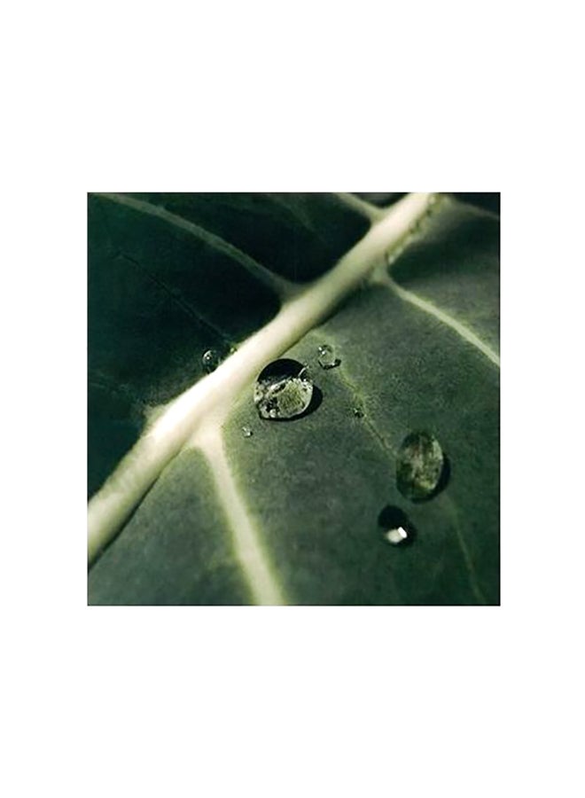 Decorative Printed Wall Poster Green 32x32cm