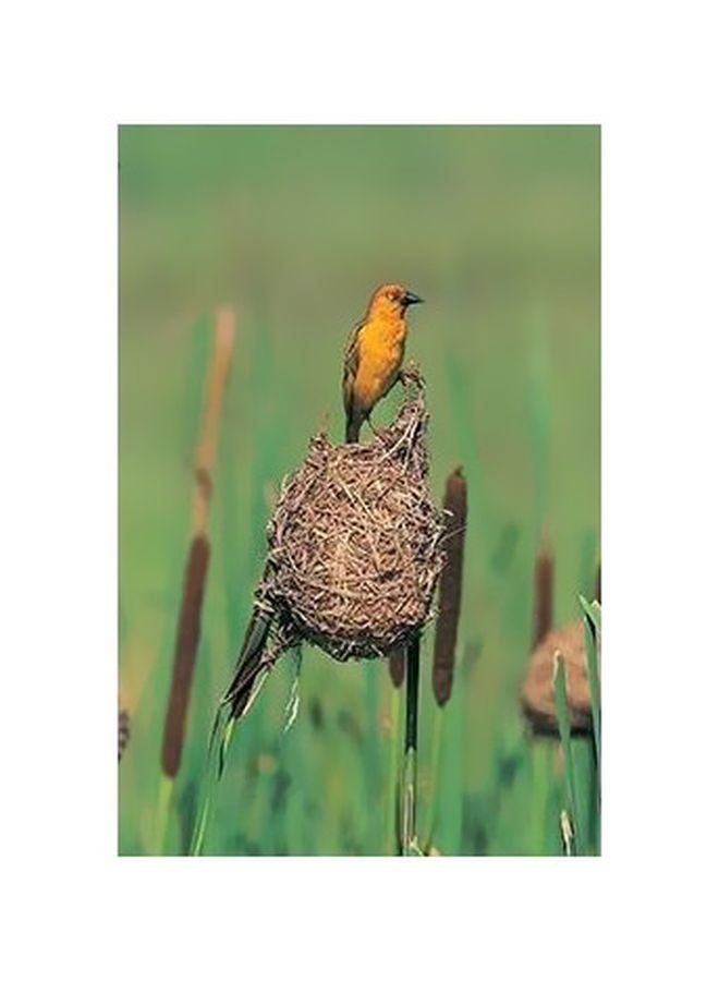 Decorative Wall Poster Blue/Green/Yellow 60x40cm