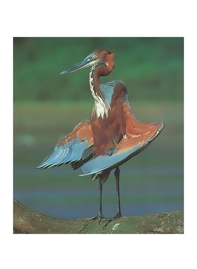 Decorative Wall Poster White/Green/Beige 45x31cm