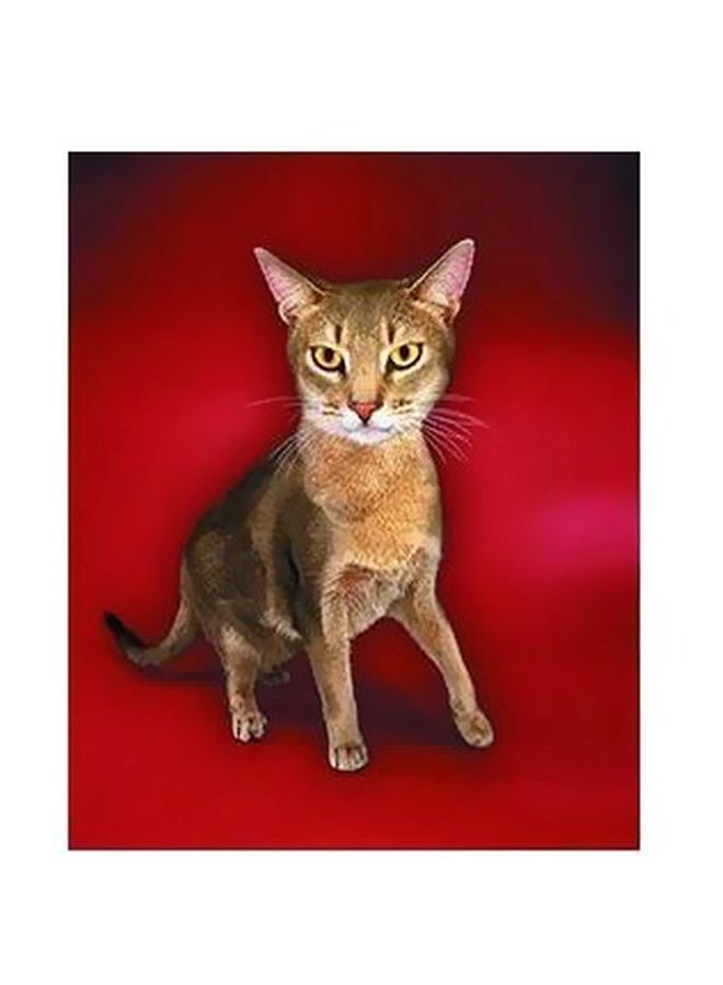 Decorative Wall Poster Brown/Pink/Black 45x31cm