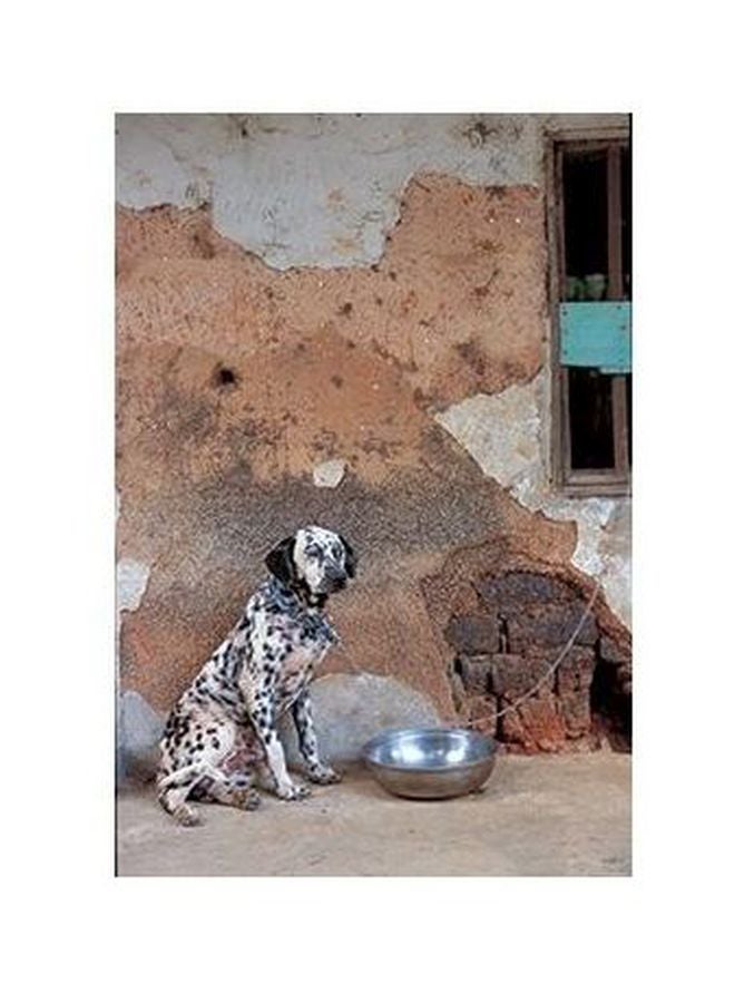 فوتو بلوك بوستر حائط للتزيين أخضر/ أرجواني/ أبيض 60x40سم