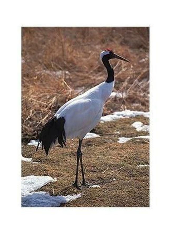 Decorative Wall Poster Yellow/Brown/Orange 45x31cm