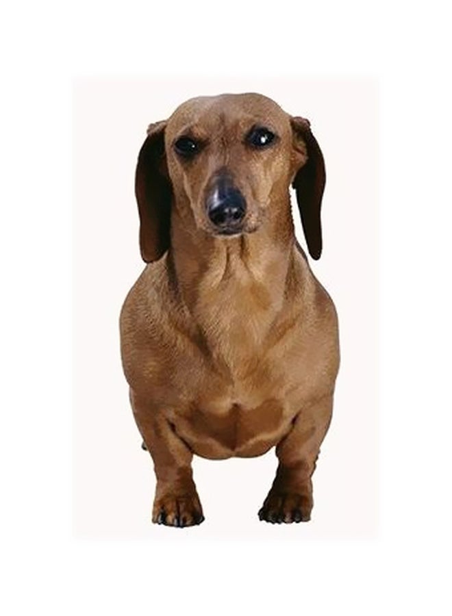 بوستر حائط للتزيين أصفر/ بيج/ أسود 45x31سم