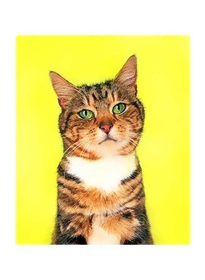 طقم قواعد أكواب مزنة بطبعات مؤلف من 6 قطع أحمر / أسود / أبيض 7x7سم