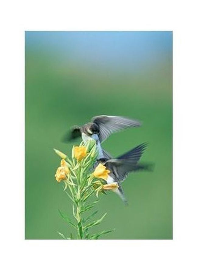 بوستر حائط للتزيين أصفر/أحمر/وردي 45x31سم