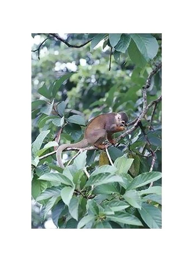 PHOTOBLOCK Decorative Wall Poster Beige/Red/Grey 60x40cm