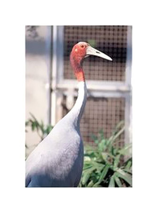 طقم قواعد أكواب مزنة بطبعات مؤلف من 6 قطع أبيض/أسود/رمادي 7x7سم