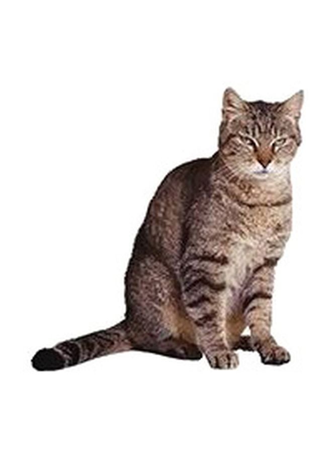 فوتو بلوك بوستر حائط للتزيين أخضر/رمادي 60x40سم