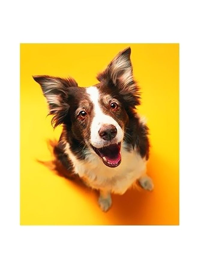 بوستر حائط للتزيين أسود/ أبيض/ أصفر 45x31سم