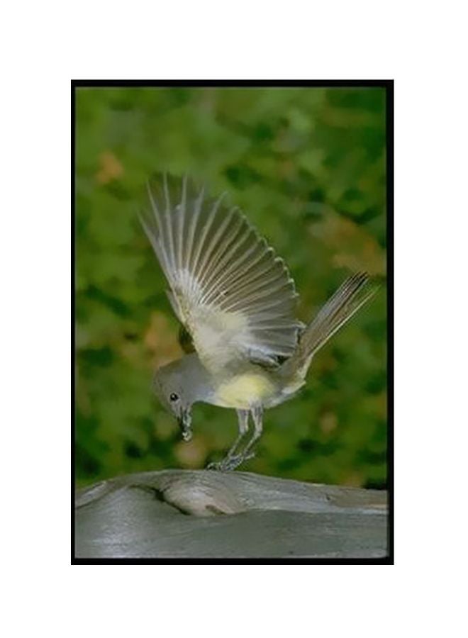 فوتو بلوك بوستر حائط للتزيين أصفر\بني\أسود 45x31سم