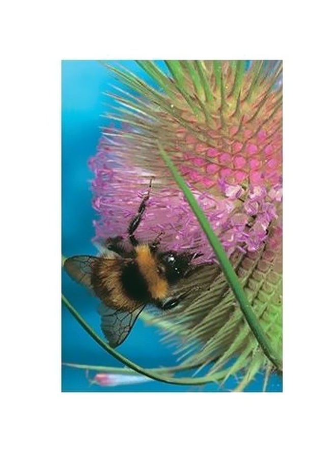 Decorative Wall Poster Grey/Brown/Green 45x31cm