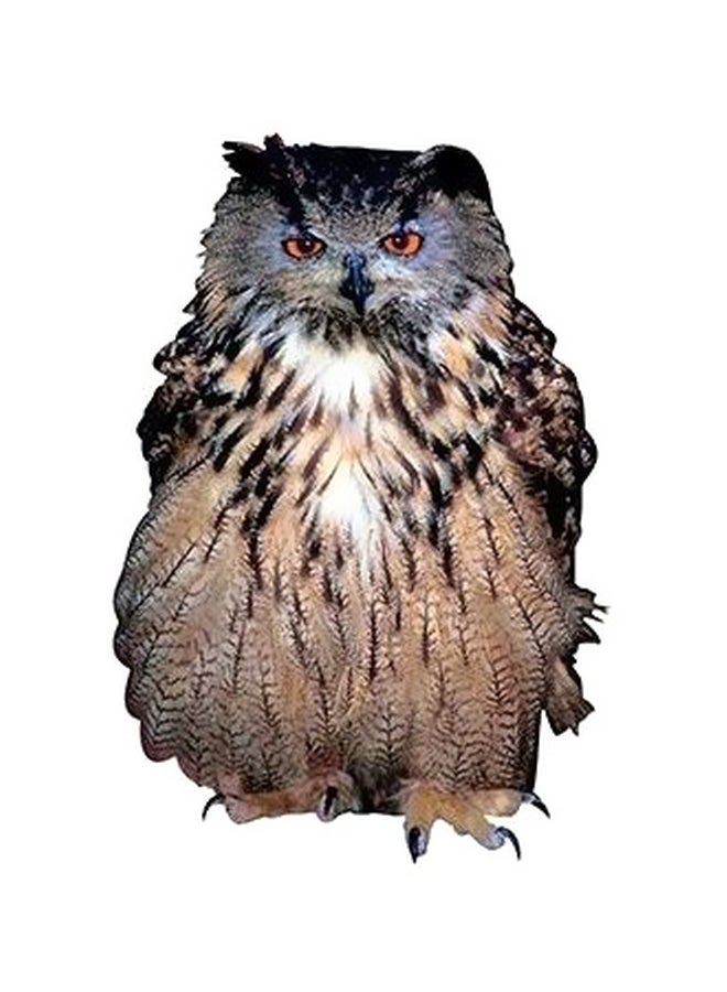 PHOTOBLOCK Decorative Wall Poster Green/Black/Beige 45x31cm