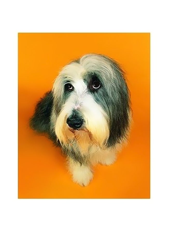 Decorative Wall Poster White/Brown/Yellow 60x40cm