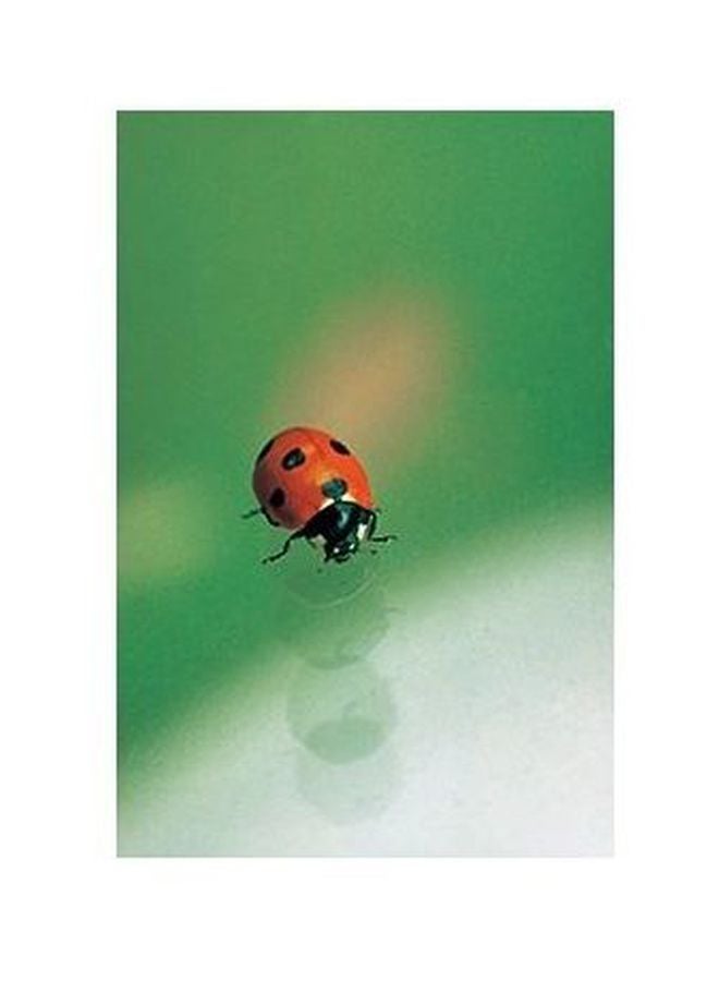 فوتو بلوك بوستر حائط للتزيين أبيض/رمادي 60x40سم