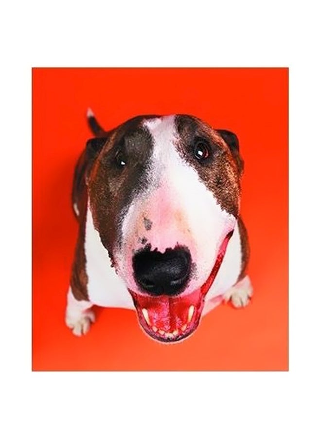 فوتو بلوك بوستر حائط للتزيين رمادي / أبيض / أسود 45x31سم