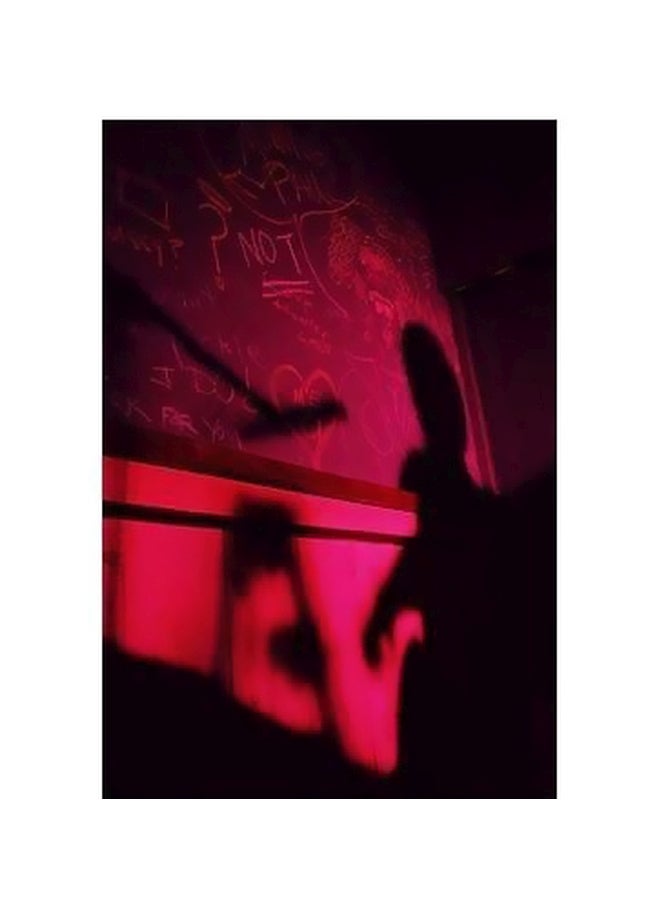 فوتو بلوك بوستر حائط للتزيين وردي/أخضر/أسود 45x31سم