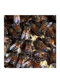 Decorative Wall Poster Beige/Brown/Black 23x23cm