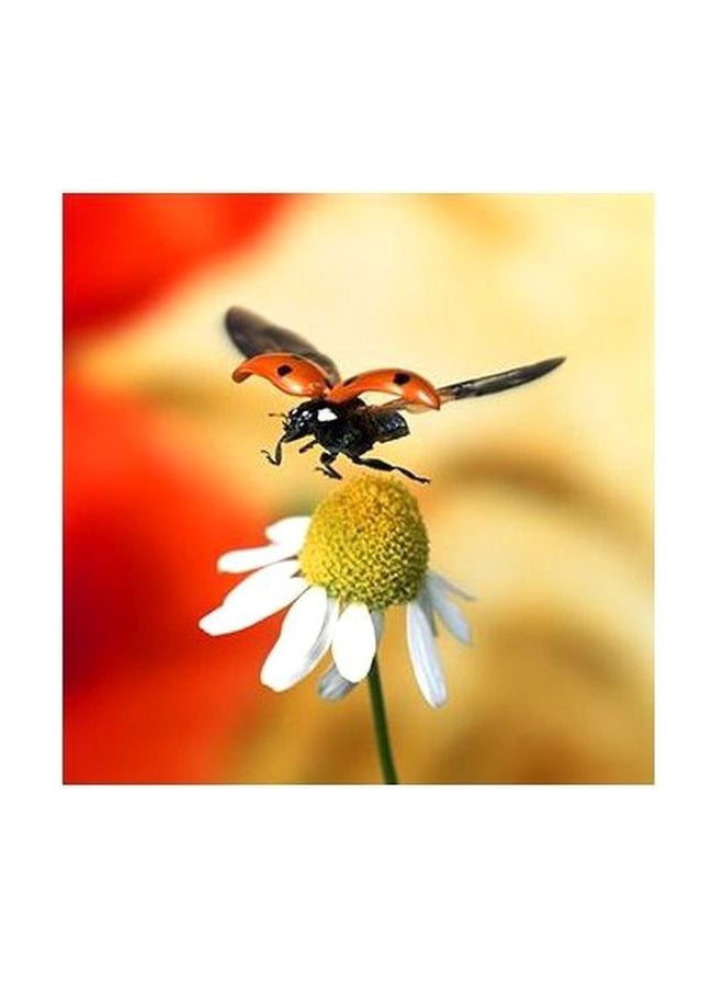 Decorative Wall Poster Red/Yellow/White 23x23cm