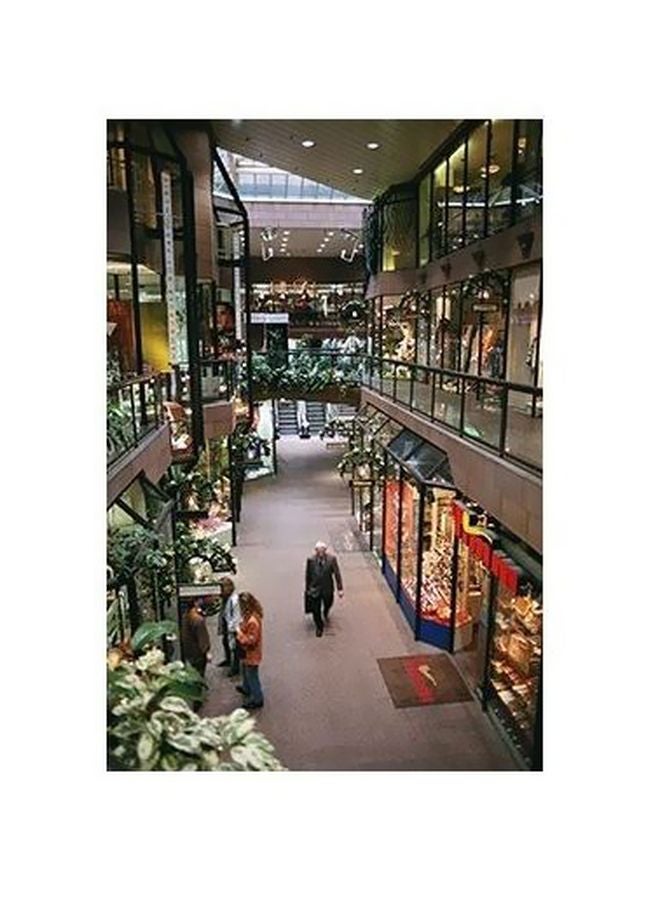 بوستر حائط للتزيين بيج/أخضر/أبيض 60x40سم