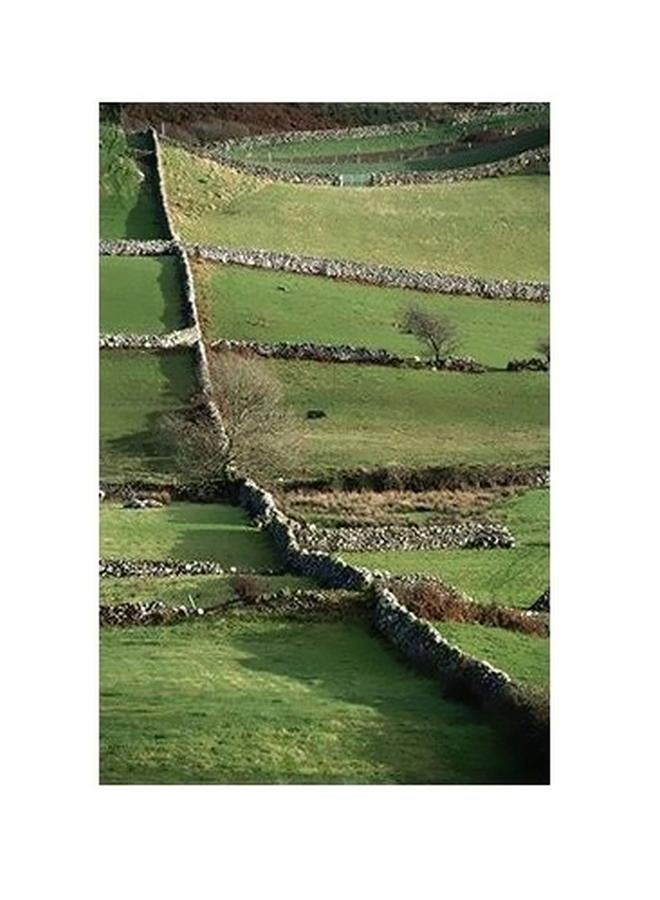 بوستر حائط للتزيين أخضر / بني 45x31سم