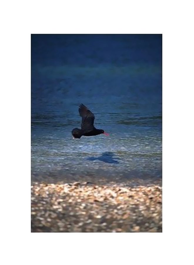 Decorative Wall Poster Multicolour 45x31cm