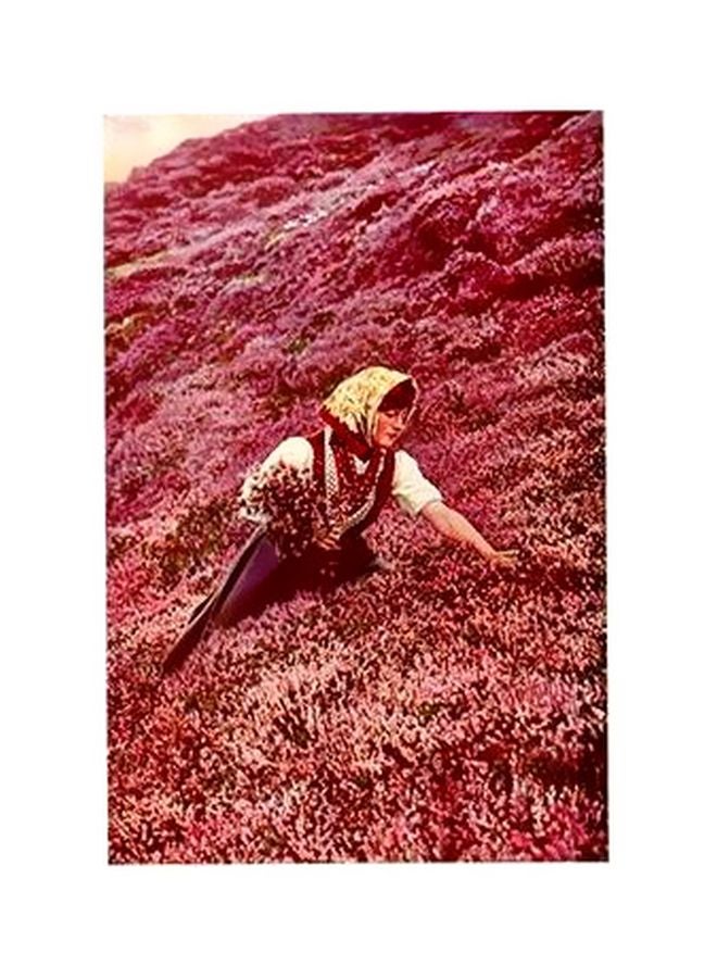 بوستر حائط للتزيين زهري/أبيض/أصفر 45x31سم