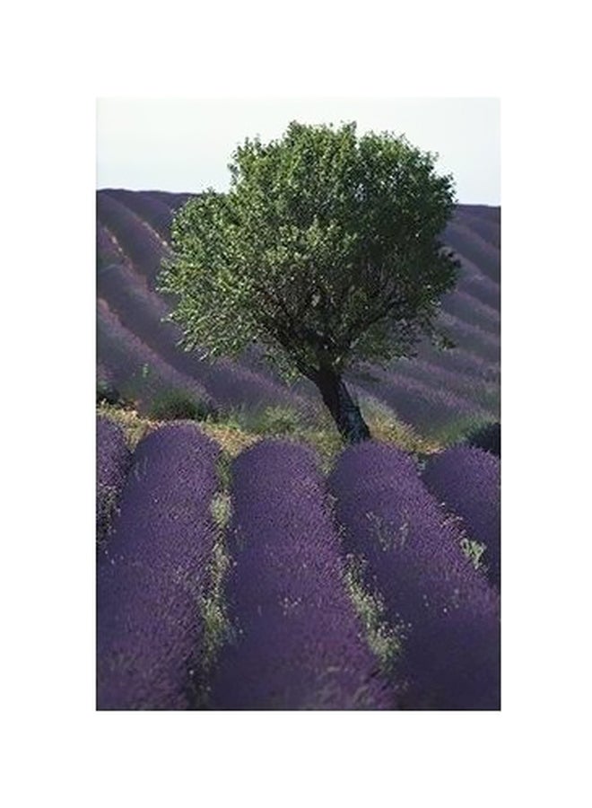 بوستر حائط للتزيين متعدد الألوان 45x31سم